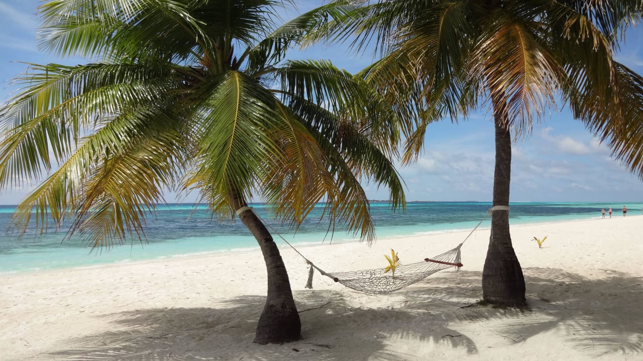 Hängematte am Strand Kuredu Island Resort & Spa