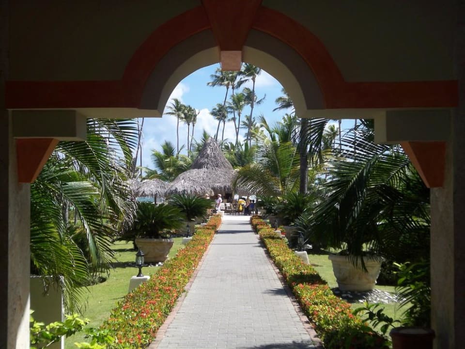 Blick Richtung Pool und Strand TRS Turquesa Hotel - Adults only