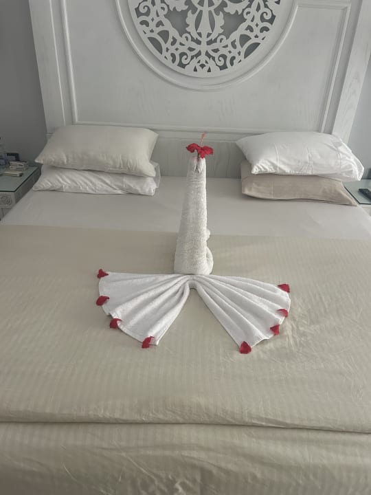 Zimmer The Grand Palace - Adults only