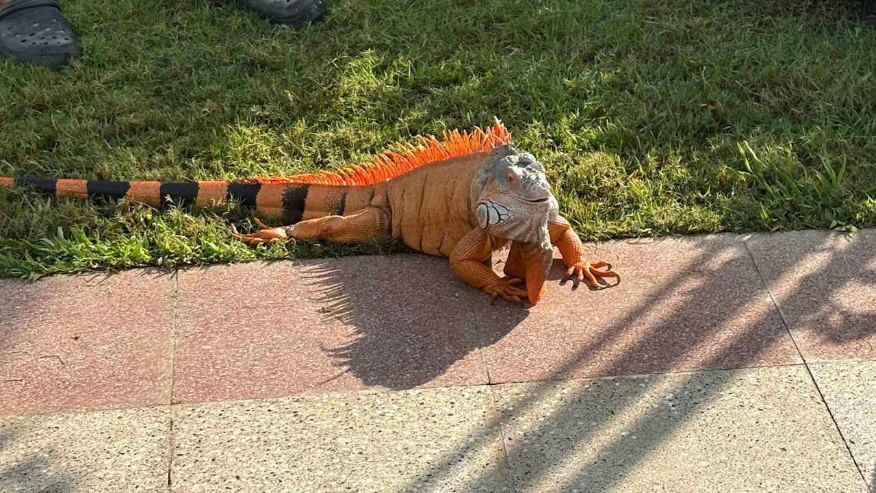 Sport & Freizeit Belek Beach Resort Hotel