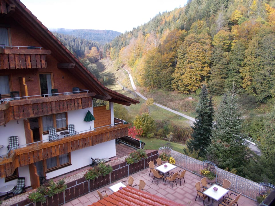 Ausblick Wellnesshotel Forsthaus Auerhahn