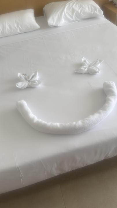 Zimmer JAZ Elite Asteria