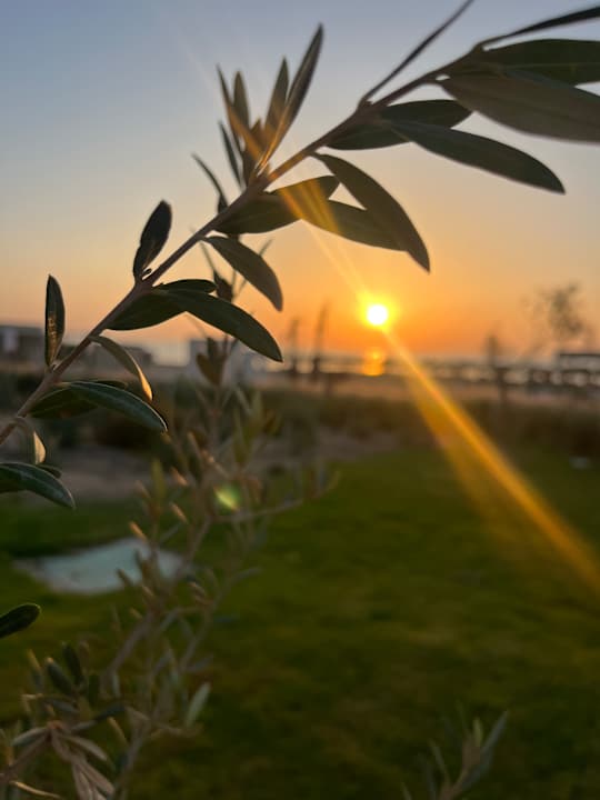 Strand SUNRISE Anjum Resort Marsa Alam