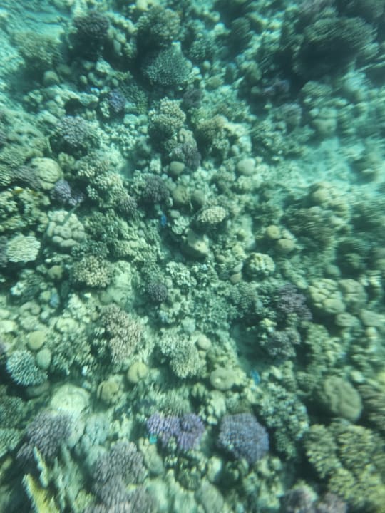 Sport & Freizeit Makadi Spa - Adults only