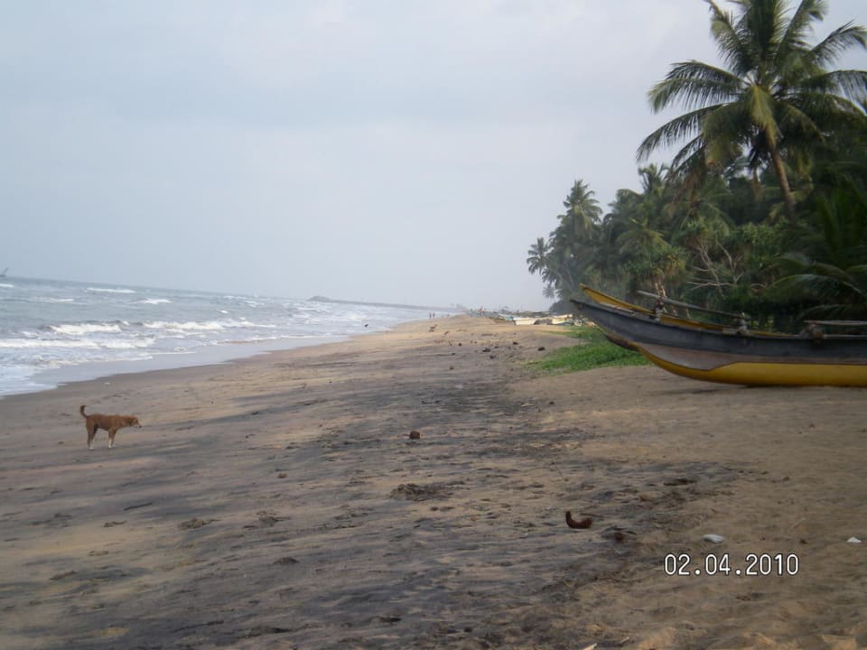 Bild vom Strand Mermaid Hotel & Club