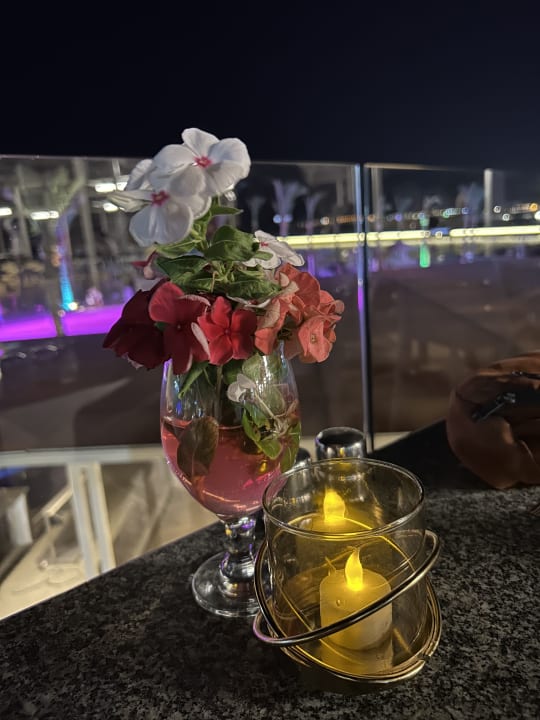Sonstiges Pickalbatros Palace Resort