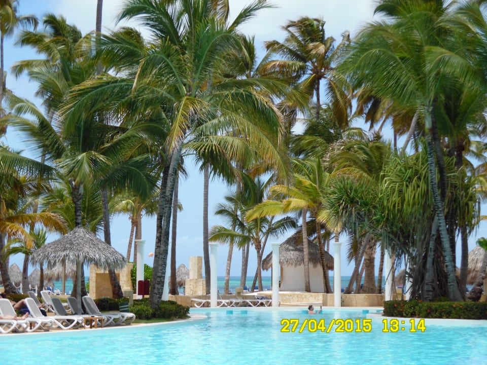 Pool Meliá Caribe Beach Resort-All Inclusive