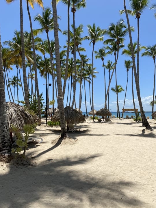 Strand Bahia Principe Luxury Bouganville