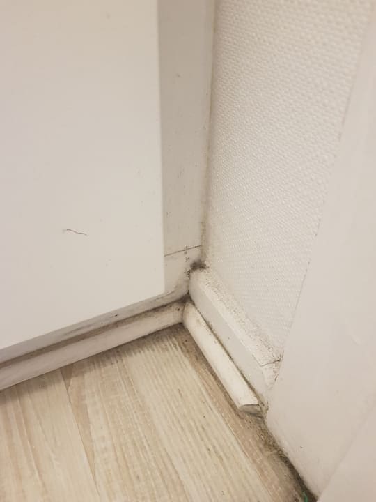 Zimmer AKZENT Hotel Strandhalle