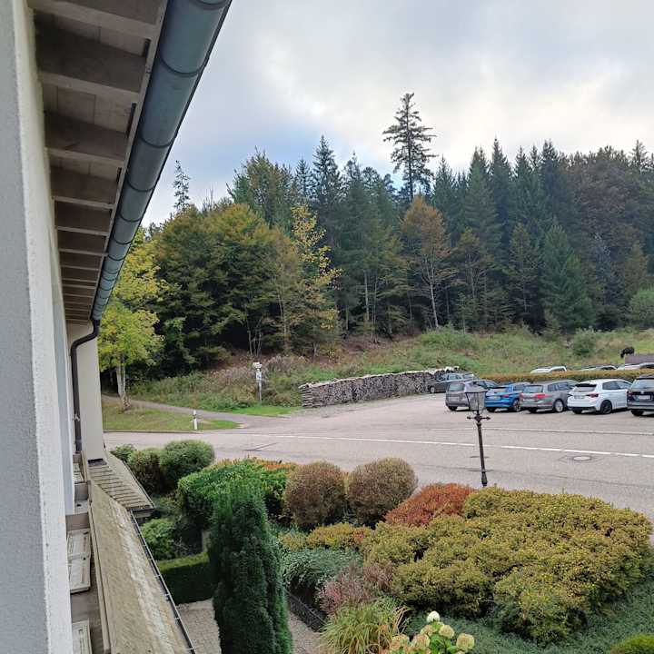 Gartenanlage Nationalpark - Hotel Waldsägmühle