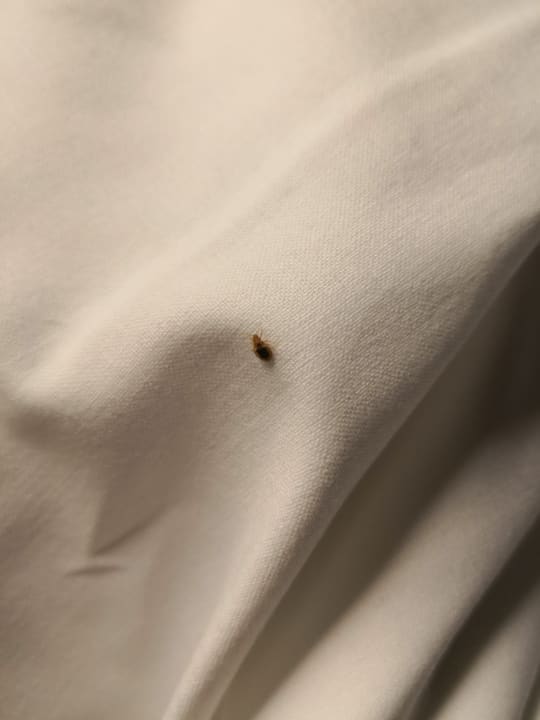 Zimmer B&B Hotel Stuttgart-City