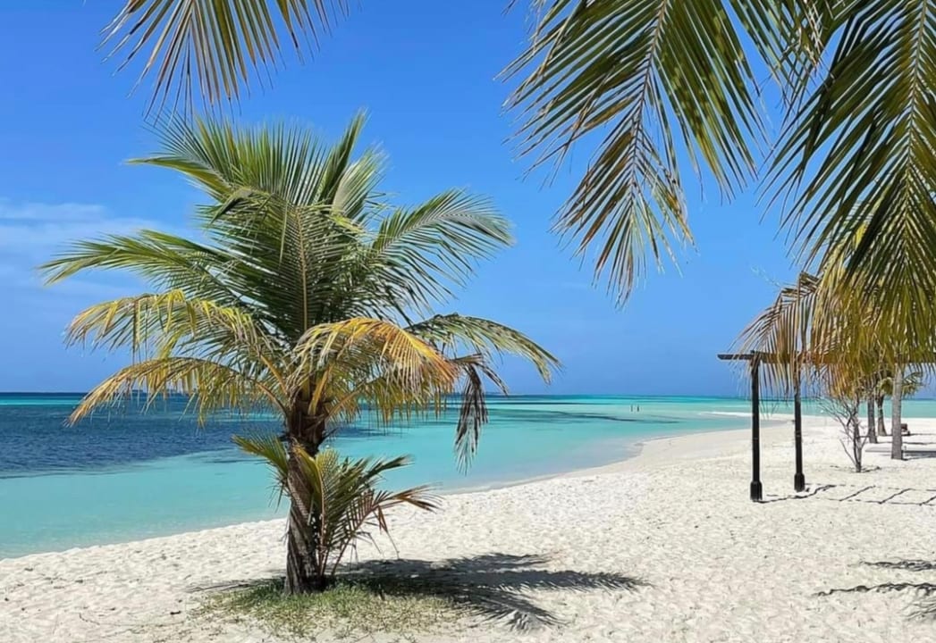 Pool Kuredu Island Resort & Spa