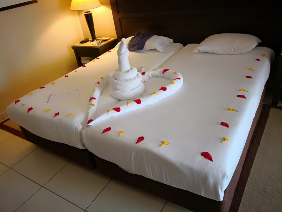 Zimmer Jaz Dar EL Madina