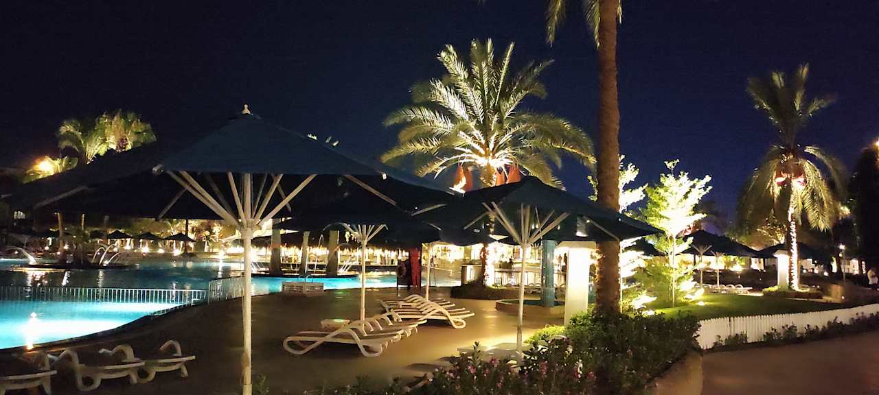 Sonstiges Desert Rose