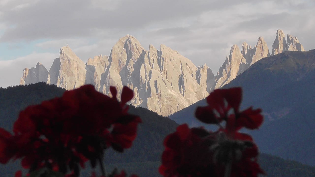 Blick vom Balkon feldthurnerhof vinum-natur-relax