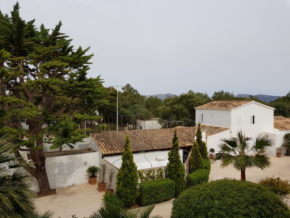 Ausblick Prinsotel Mal Pas (Adults only)