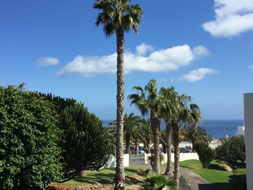 Ausblick allsun App.-Hotel Esquinzo Beach
