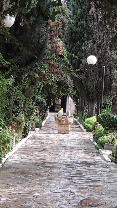 Gartenanlage The Orangers Beach Resort and Bungalows