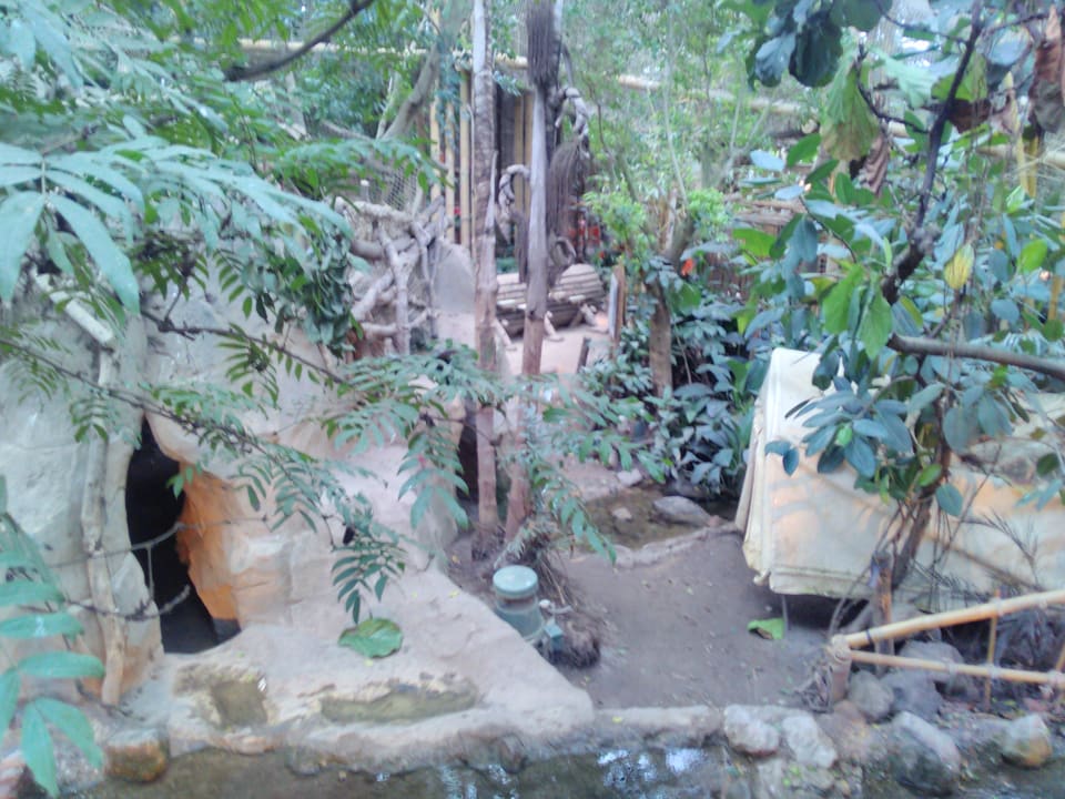 Dschungelfeeling im Jungle-Dome Center Parcs Het Heijderbos