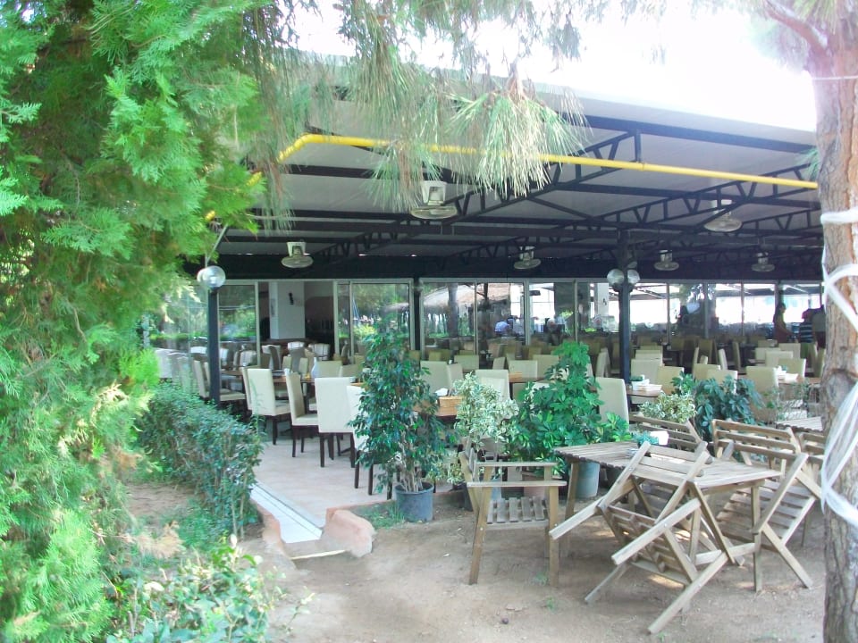 Gastro Club Turtas Beach Hotel