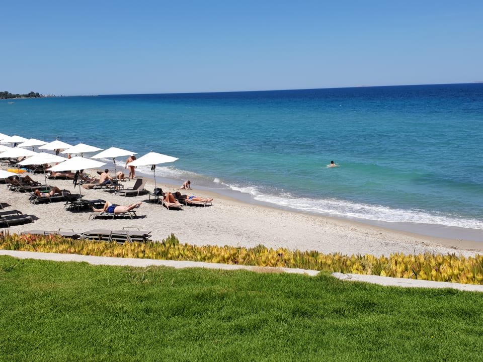 Zimmer Neptune Luxury Resort
