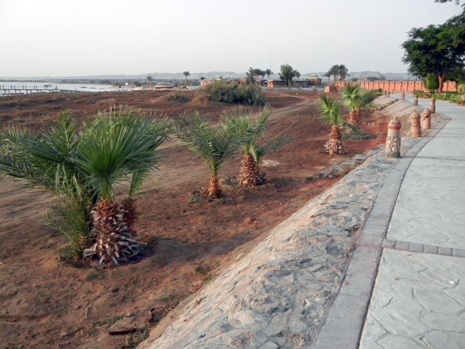 Viale Shams Alam Beach Resort