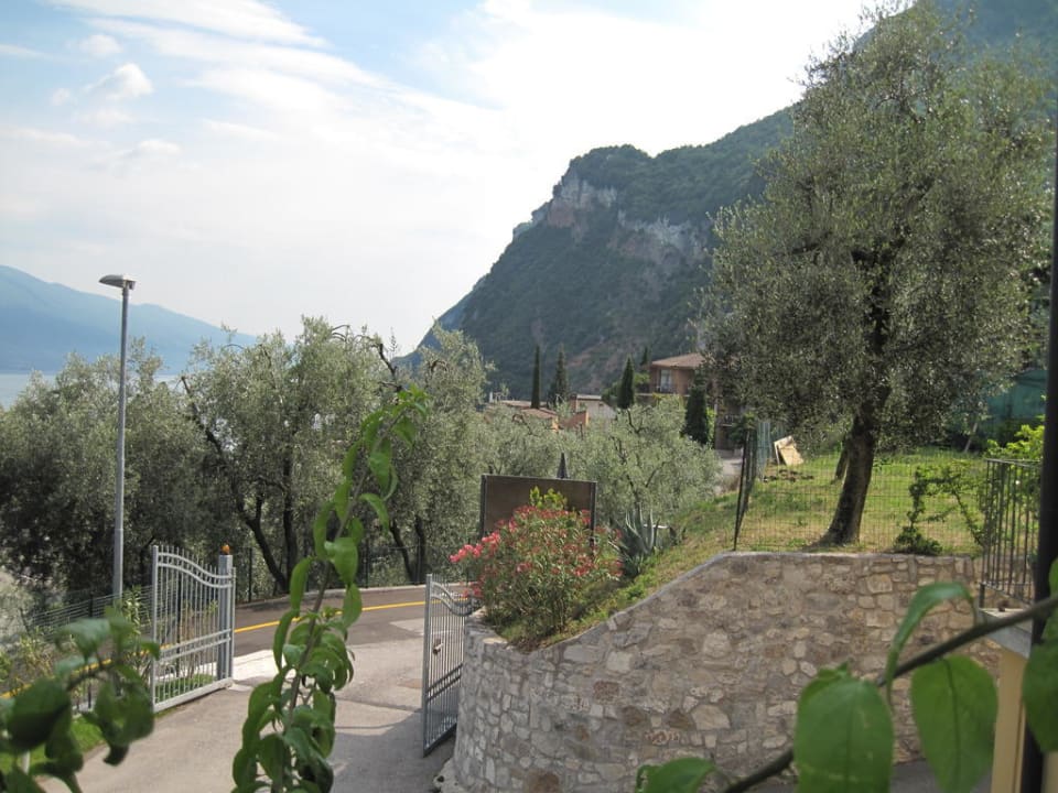 Zufahrt zum Hotel Hotel Mercedes