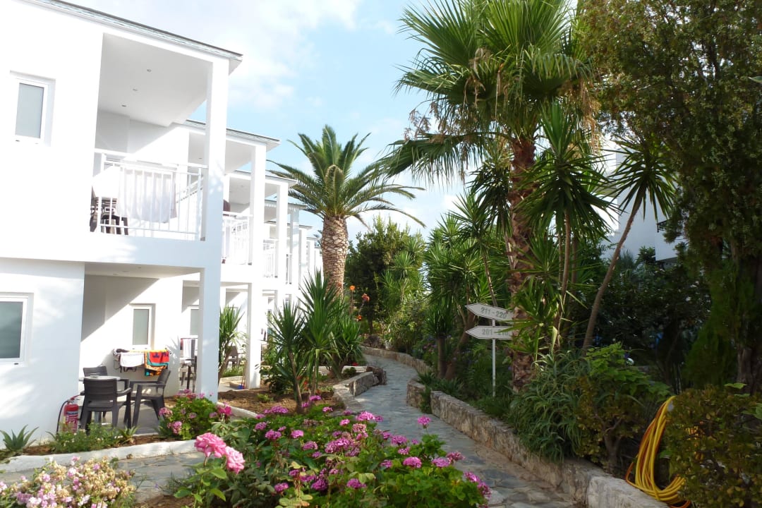 Way to the beach HARPIN Happy Days Beach Hotel