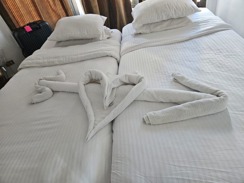 Zimmer Marlin Inn Azur Resort