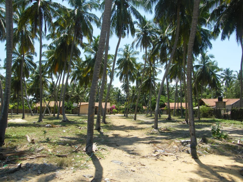 Zahrada Club Palm Bay
