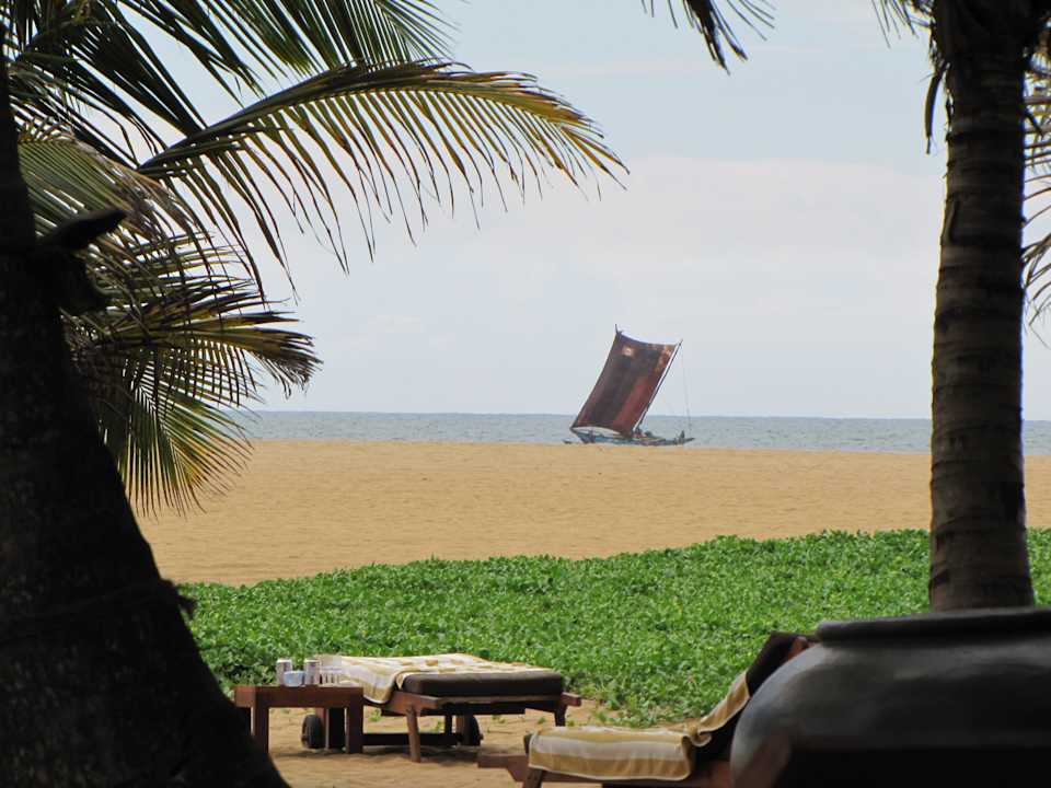Sandstrand mit Catamaran Hotel Jetwing Beach