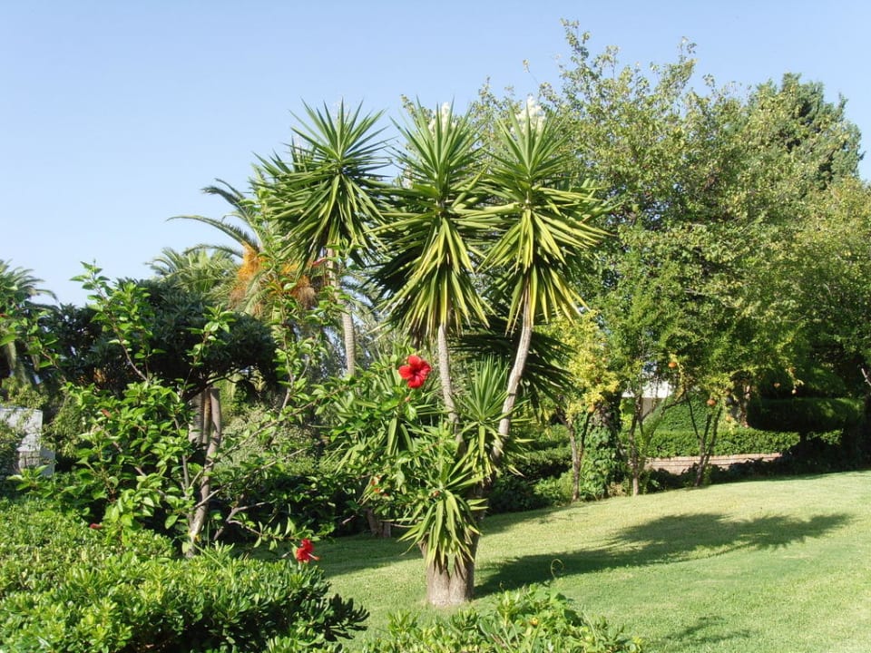 Liebevoll hergerichteter Gartenbereich des Hotels Aldiana Club Rocca Nettuno Calabria