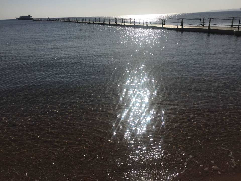 Blick auf Steg Pickalbatros Palace Resort