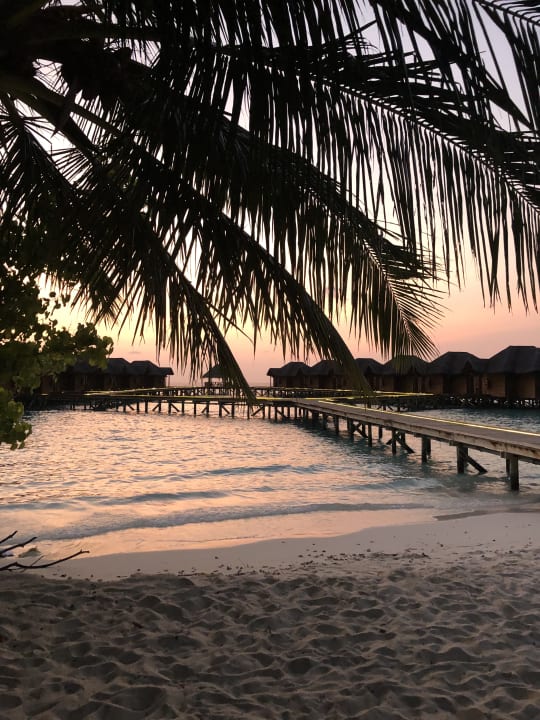 Strand Fihalhohi Maldives