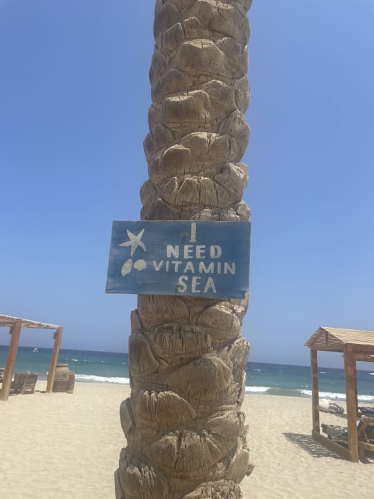 Strand Malikia Resort Abu Dabbab