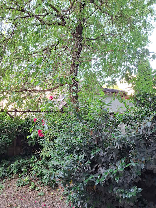 Gartenanlage Chez Zeiza