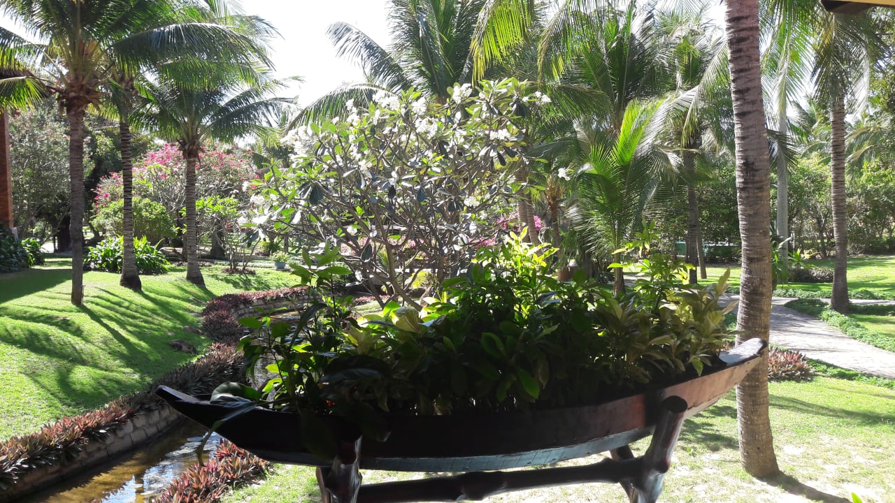 Gartenanlage Pandanus Resort