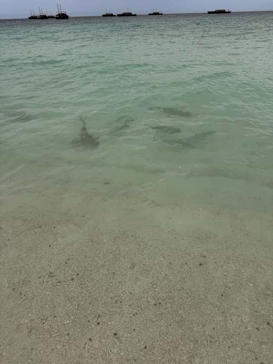 Außenansicht Safari Island Maldives