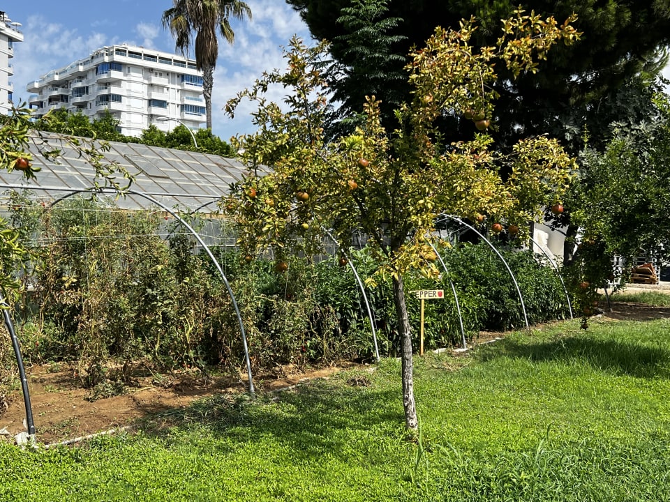 Gartenanlage Labranda Alantur Resort