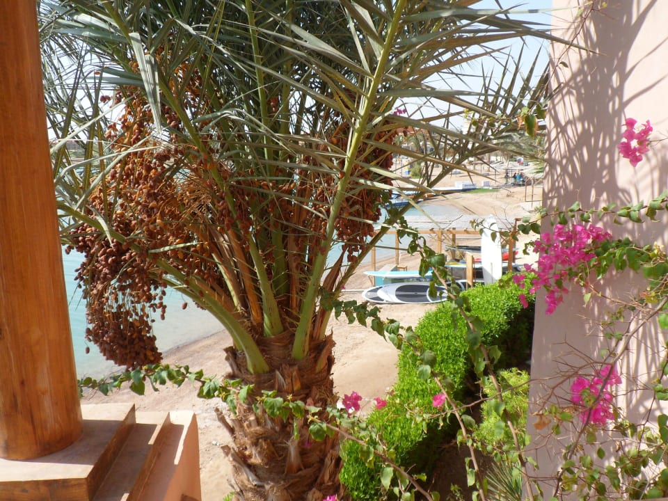 . Sultan Bey Hotel, El Gouna