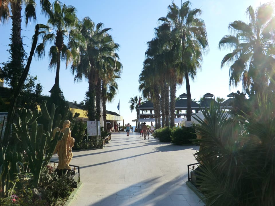 Kreuzung am Animationspool Botanik Hotel & Resort