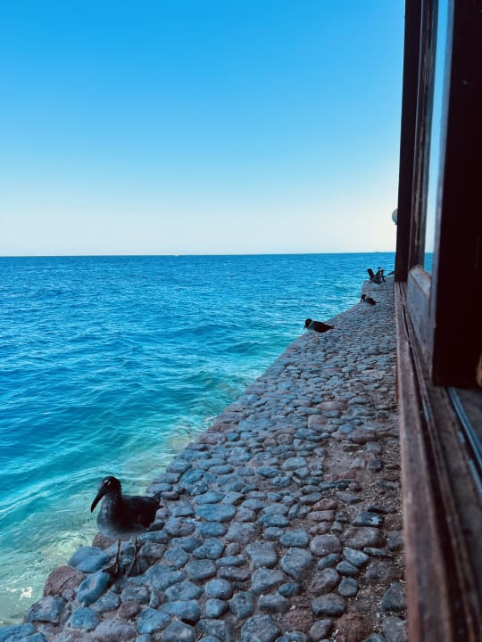 Ausblick Arabella Azur Resort