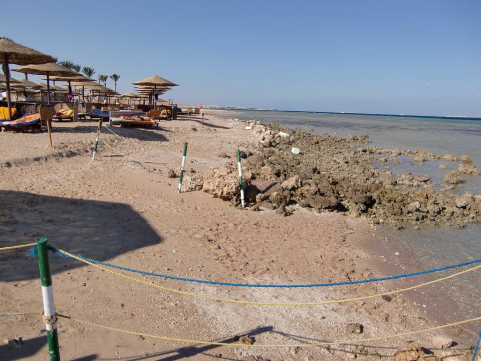 Es gibt bessere Strände, zum Baden nicht geeignet Makadi Palace
