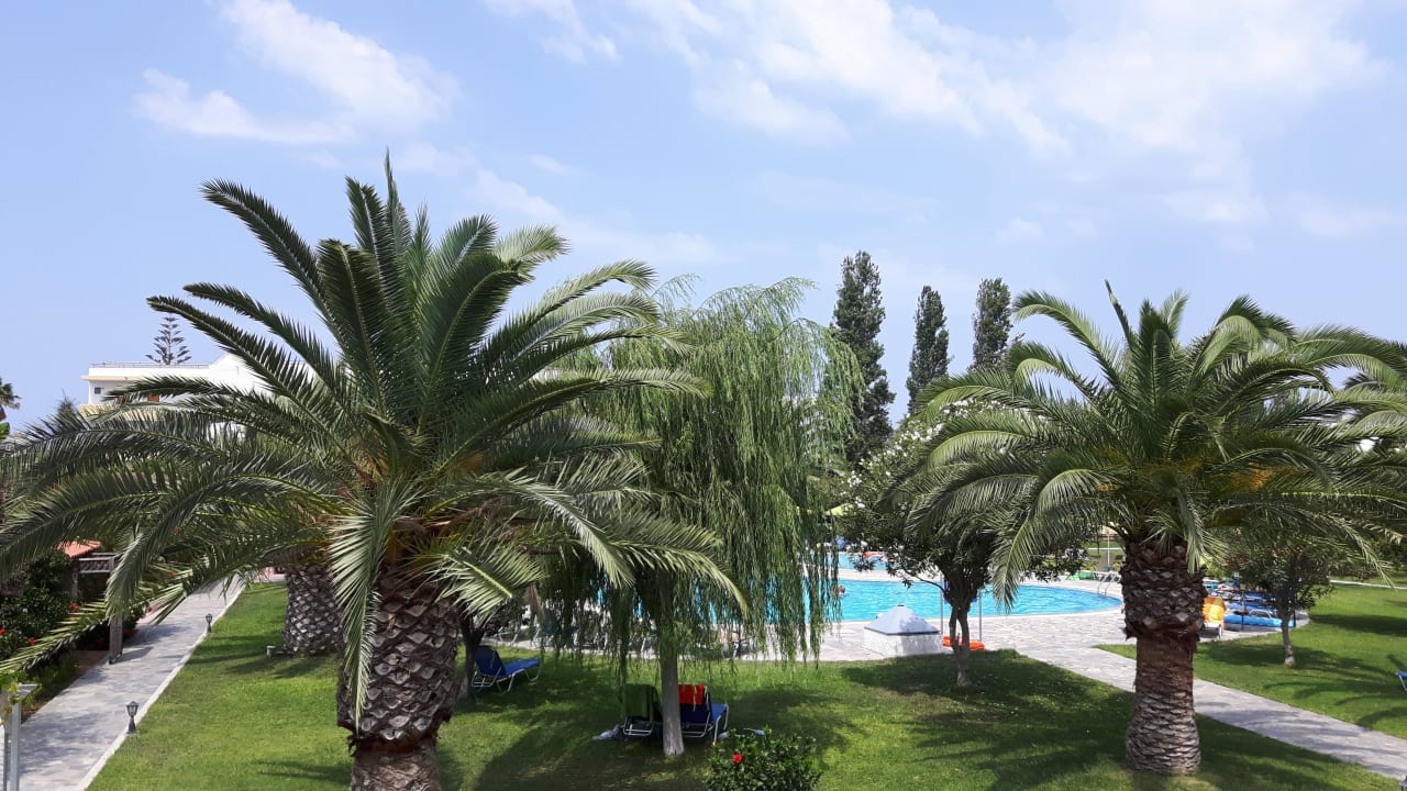 Palmen und Pool Hotel Esperia