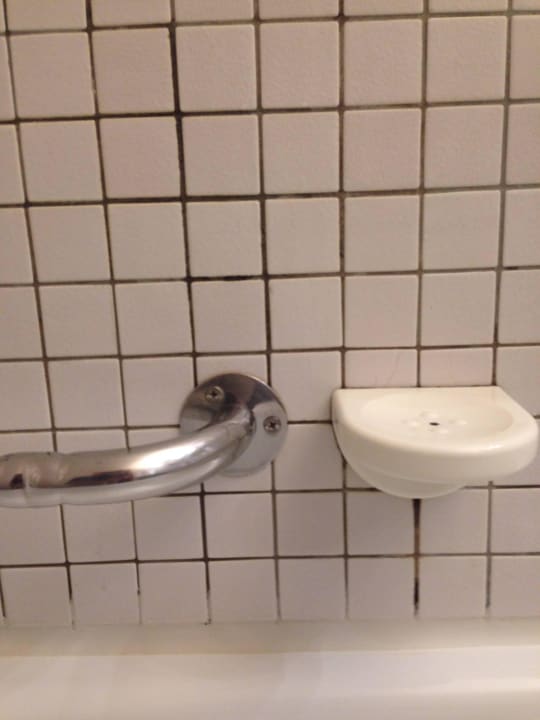 Schimmel an den Fugen Steigenberger Conti Hansa