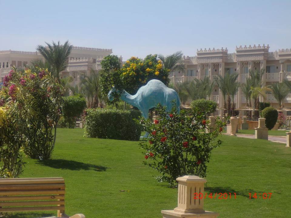 Ein Teil der Gartenanlage Pickalbatros Palace Resort
