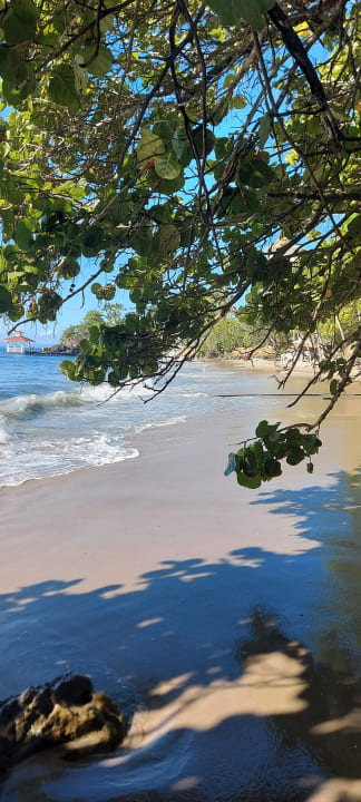 Strand Bahia Principe Grand Samana - Adults Only