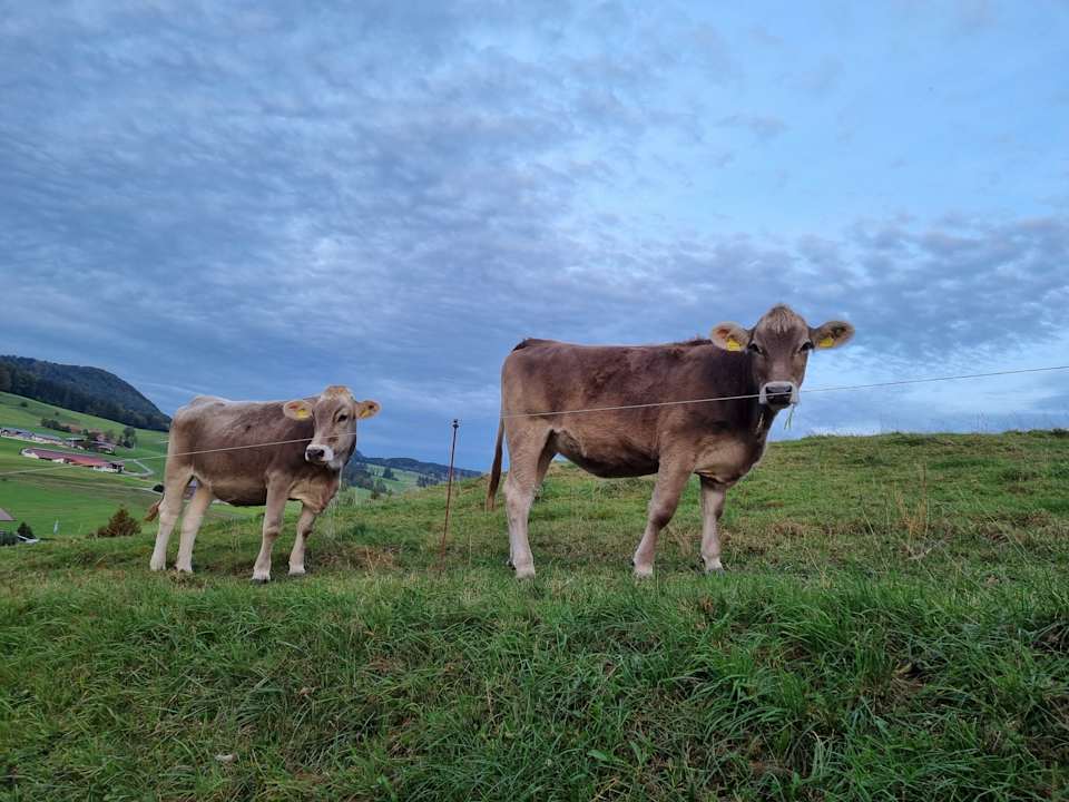 Außenansicht Ferienhof - Bauernhof Hefele