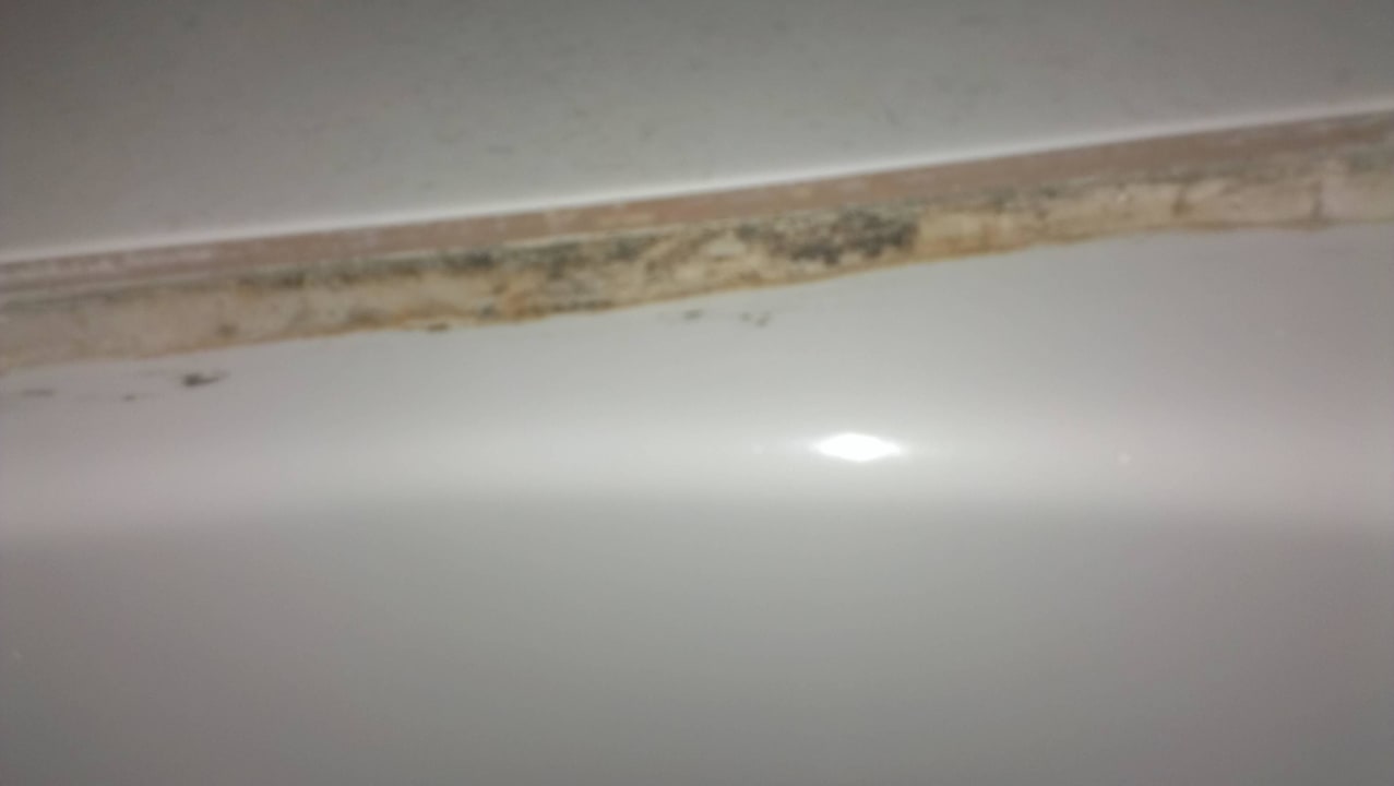 Rand der Duschtasse Hotel Albert