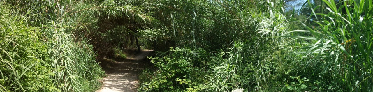 Der Anfang vom Strandweg Hotel Chrousso Village